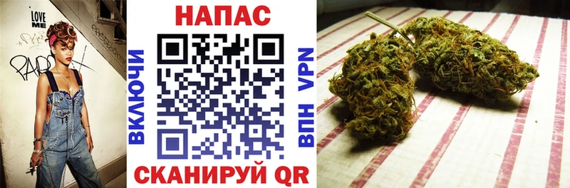 MEGA как войти  Городец  Шишки марихуана тримм 